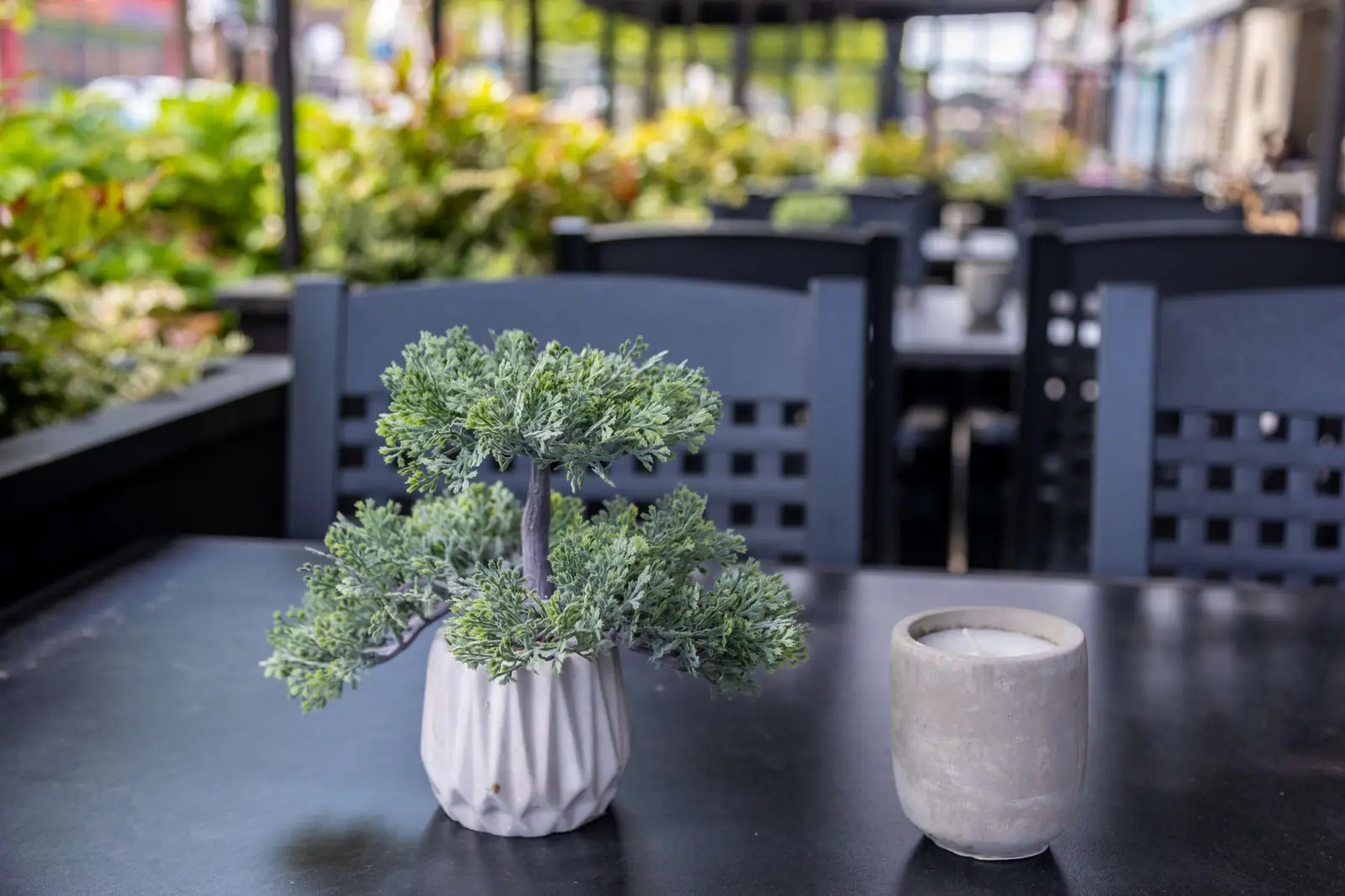 Bonsai op een tafel op het terras